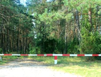 На территории лесного фонда Тверской области введено ограничение пребывания граждан в лесах