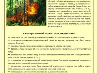 О соблюдении мер пожарной безопасности в пожароопасный период