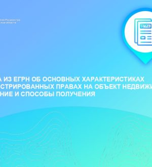 Выписка из ЕГРН об основных характеристиках и зарегистрированных правах на объект недвижимости: назначение и способы получения