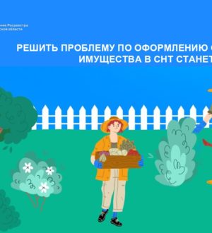 Решить проблему по оформлению общего имущества в СНТ станет проще