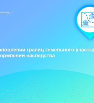 Об установлении границ земельного участка при оформлении наследства