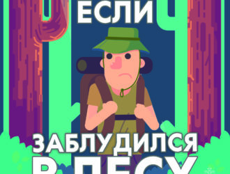 Советы Верхневолжью: Что делать если заблудился в лесу?