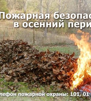 Пожарная безопасность в осенний период