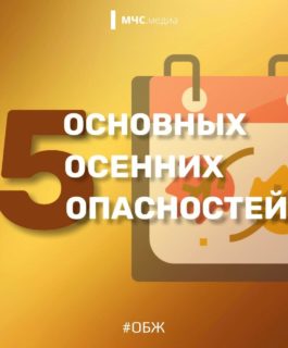 5 основных осенних опасностей