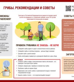 Безопасность при сборе грибов
