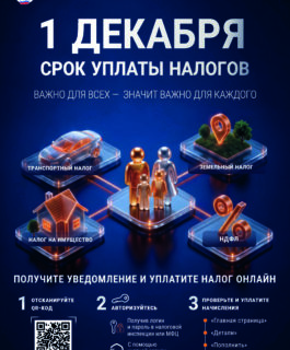 Уплатите имущественные налоги не позднее 1 декабря